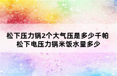 松下压力锅2个大气压是多少千帕 松下电压力锅米饭水量多少